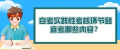 自考实践性考核环节到底考哪些内容？