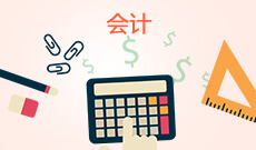 大数据与会计530302(专科)专业信息