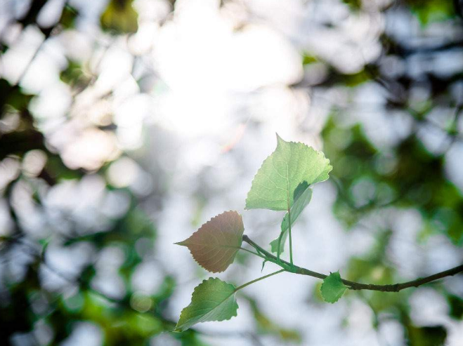 自考需注意的五个主要事项(图1)