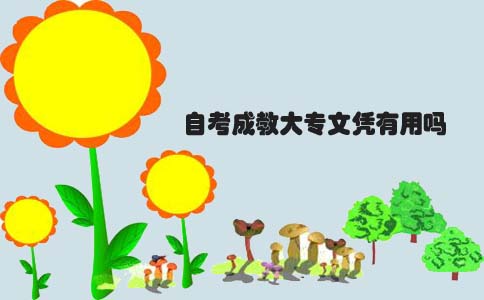 自考成教大专文凭有用吗(图1) 自考成教大专文凭有用吗(图1)
