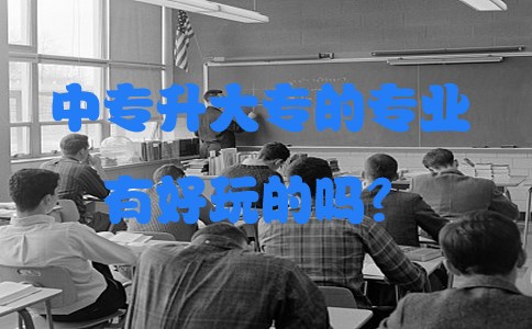 中专升大专的专业有好玩的吗?(图1) 中专升大专的专业有好玩的吗?(图1)