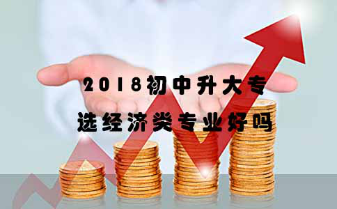 2018初中升大专选经济类专业好吗？(图1)