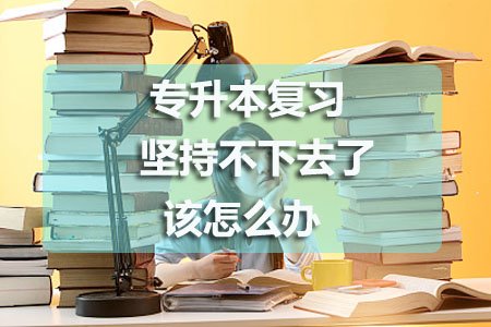 专升本复习坚持不下去了怎么办？(图1)