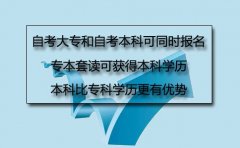 自考大专和自考本科可以同时报名吗