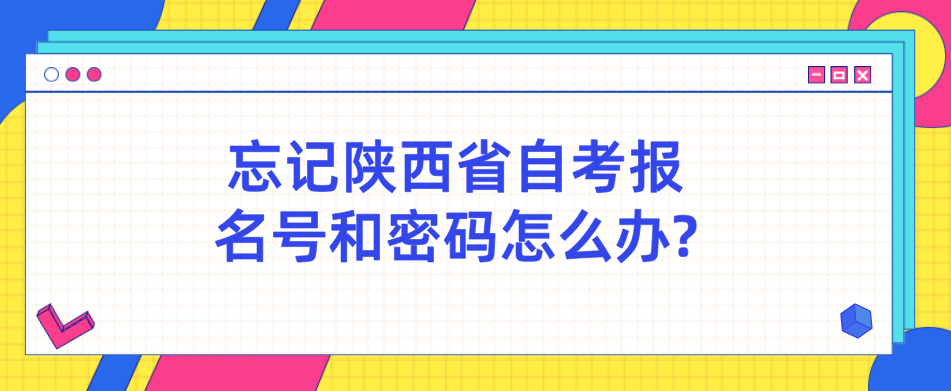 忘记陕西省自考报名号和密码怎么办?(图1)